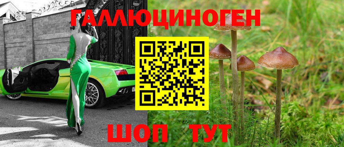 Псилоцибиновые грибы MAGIC MUSHROOMS  Вход с VPN  Первоуральск 